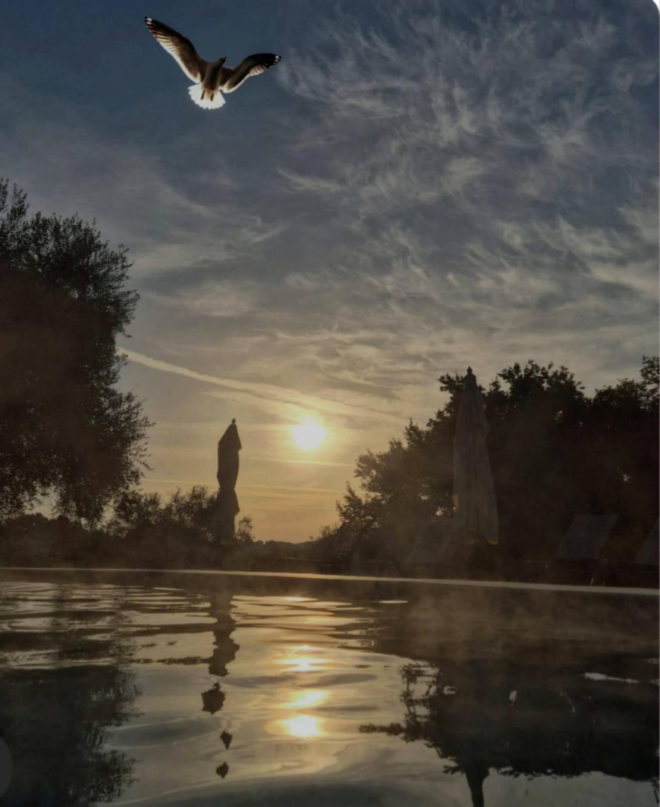Penzion Fattoria Pianetti Manciano Exteriér fotografie